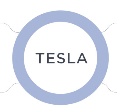 Партнерская сеть TESLA